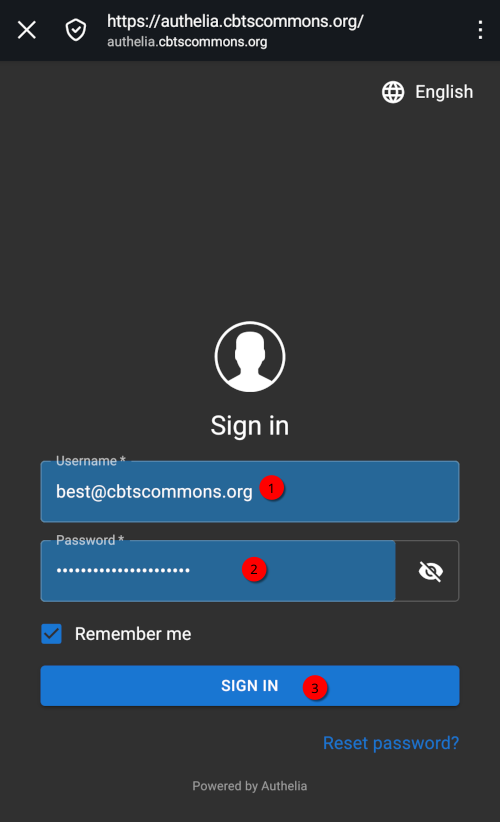 3a.png
